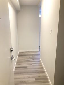Calgary Apartment For Rent | Mission | NEWLY RENOD EXTRA LARGE ONE