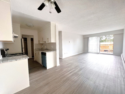 $2,350 / 1br - 628ft2 *1 Bedroom - Fully Renovated* Port Coq.