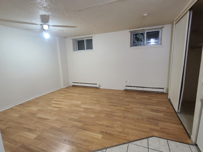 BACHELOR APARTMENT FOR LONG TERM RENTAL, AVAILABLE JAN. 15/24