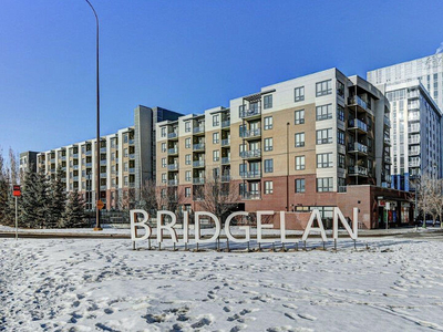 Calgary Pet Friendly Apartment For Rent | Bridgeland | Great Location One Bedroom Apartment
