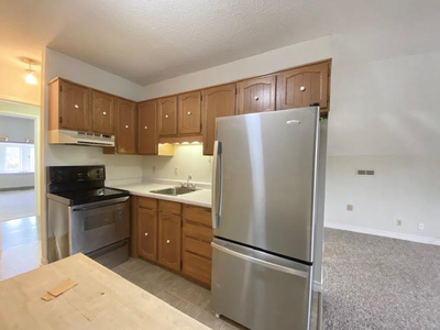 ForLease-Spacious Cozy 1 BR Apartment located in Downtown London