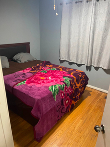 ROOM FOR RENT NEAR HUMBER COLLEGE