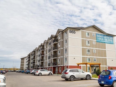 1 Bedroom Apartment Unit Winnipeg MB For Rent At 1458