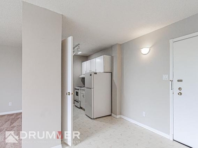 1 Bedroom Apartment Unit Calgary AB For Rent At 1450
