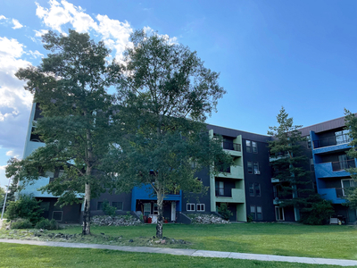 1 Bedroom Apartment Unit Fort McMurray AB For Rent At