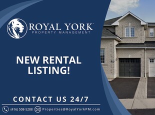 Mississauga Pet Friendly Basement For Rent | 1 BED 1 BATH