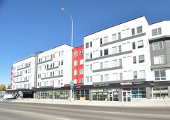 Calgary Pet Friendly Apartment For Rent | Capitol Hill | Live near it all at
