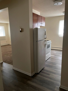 1 Bdrm Suite in Elmwood Available for Rent