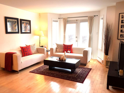 Fully Furnished 2 bedrooms/2 bathrooms Downtown