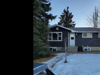 Calgary Pet Friendly Main Floor For Rent | Bowness | Newly renovated, brand new main