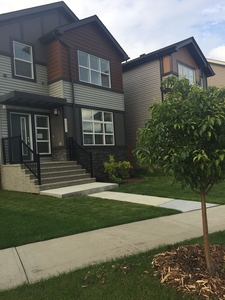 Edmonton Basement For Rent | Charlesworth | Bright Basement Suite in Newer