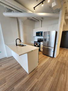 Loft Condo Downtown Guelph - Available Immediately!
