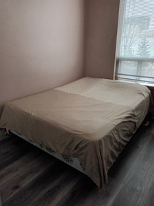 SHARED ACCOMMODATION in SQ 1 for SINGLE FEMALE