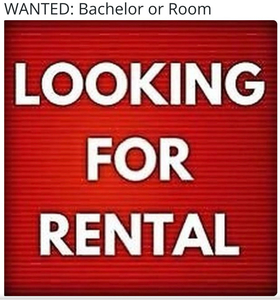 Wanted: Room/Bachelor/Basement For Rent