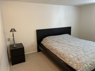 Calgary Basement For Rent | Banff Trail | Furnished Basement Apartment with Utilities