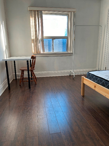 Large room with private bathroom, downtown Ossington/college