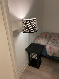 1 Furnished Bedroom in Downtown Toronto! Caged pets allowed!