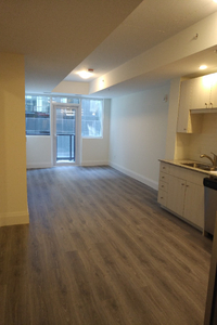 One Bedroom plus Den in the Downtown Kitchener Condo for Rent