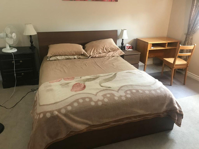 Furnished Large Master Bedroom in a Cozy and Clean Family House