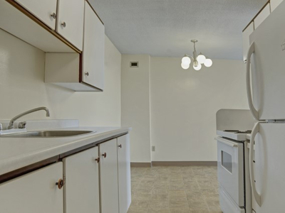 High-Rise 1-Bedroom Apartment Home, March 14th!