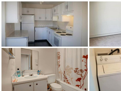 Pet Friendly! 2 bedroom apartment with in-suite washer & dryer!