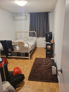 ROOM OR SHARED SPACE FOR RENT IN 1 BEDROOM APPT FEMALE ONLY