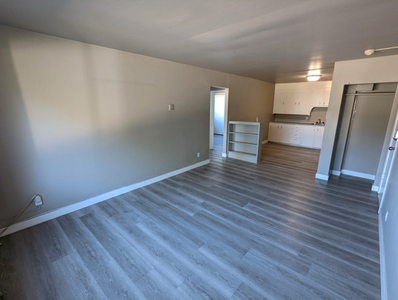 Rosemont Apartment For Rent | Grey Apartments