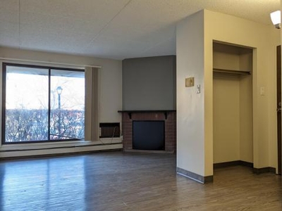 1 Bedroom Apartment Unit Saskatoon SK For Rent At 1745