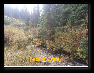 10 Cell Placer Gold Block in Barkerville area