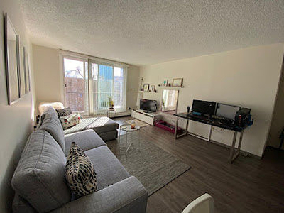 Calgary Pet Friendly Apartment For Rent | Crescent Heights | BRIGHT AND SUNNY 1-BEDROOM