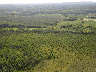 0 square feet Land in Calabogie, Ontario