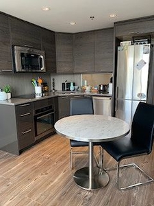 Calgary Condo Unit For Rent | Sunnyside | Beautiful Cozy Condo in the
