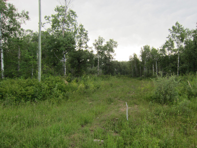 Land for Sale - 0 Richland Road For Sale by Hubert Labossiere