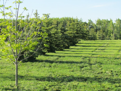 Lot 12 Meadowbrook Views, Land in Gull Lake, AB. #102480