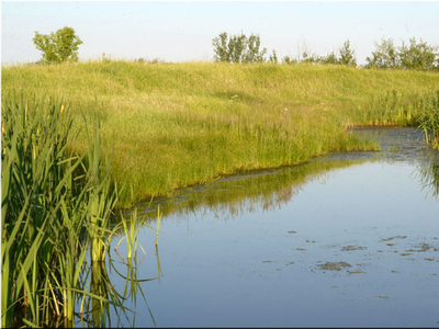 Kleskun Springs: A Water Paradise in Alberta! - 4 Titles gp