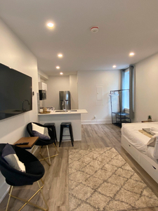 NEW FULLY FURNISHED/ALL-INCLUSIVE studio apartment near UOttawa