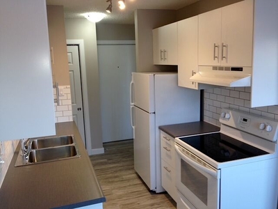 Contemporary 1 Bedroom Condo Apartment | 209 - 11735 124 Street Northwest, Edmonton