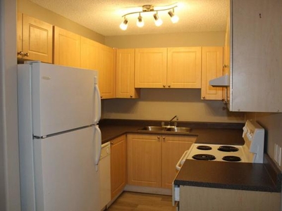 1 Bedroom Apartment Unit Edmonton AB For Rent At 1043