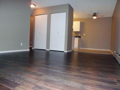 1 Bedroom Apartment Unit Abbotsford BC For Rent At 1450