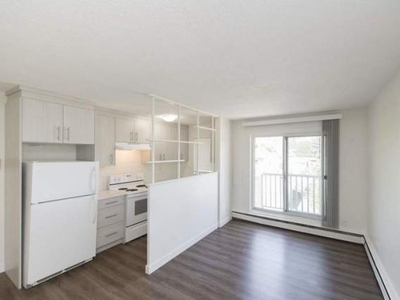 1 Bedroom Apartment Unit Calgary AB For Rent At 1450