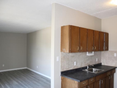 1 Bedroom Apartment Unit Calgary AB For Rent At 1500
