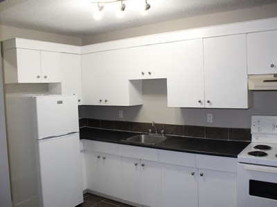 1 Bedroom Apartment Unit Edmonton AB For Rent At 1000