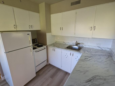 1 Bedroom Apartment Unit Edmonton AB For Rent At 1035