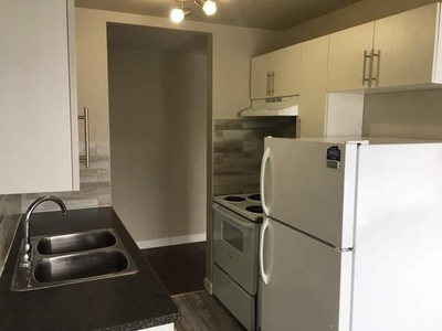 1 Bedroom Apartment Unit Edmonton AB For Rent At 1100