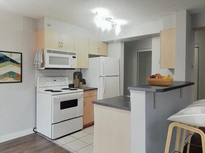 1 Bedroom Apartment Unit Edmonton AB For Rent At 1250