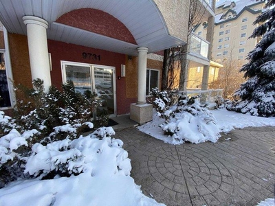 1 Bedroom Apartment Unit Edmonton AB For Rent At 1299