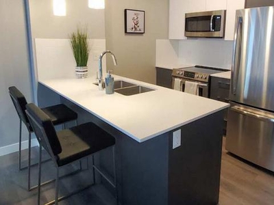 1 Bedroom Apartment Unit Edmonton AB For Rent At 1350