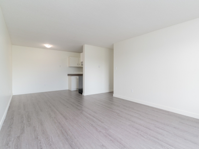 1 Bedroom Apartment Unit Edmonton AB For Rent At 1369