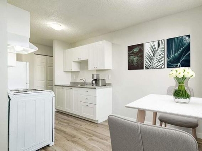 1 Bedroom Apartment Unit Edmonton AB For Rent At 950
