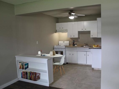 1 Bedroom Apartment Unit Edmonton AB For Rent At 999